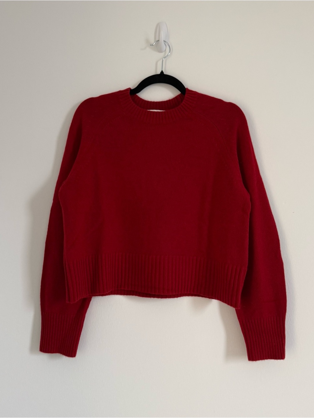 NWOT Everlane The boxy crew cashmere sweater